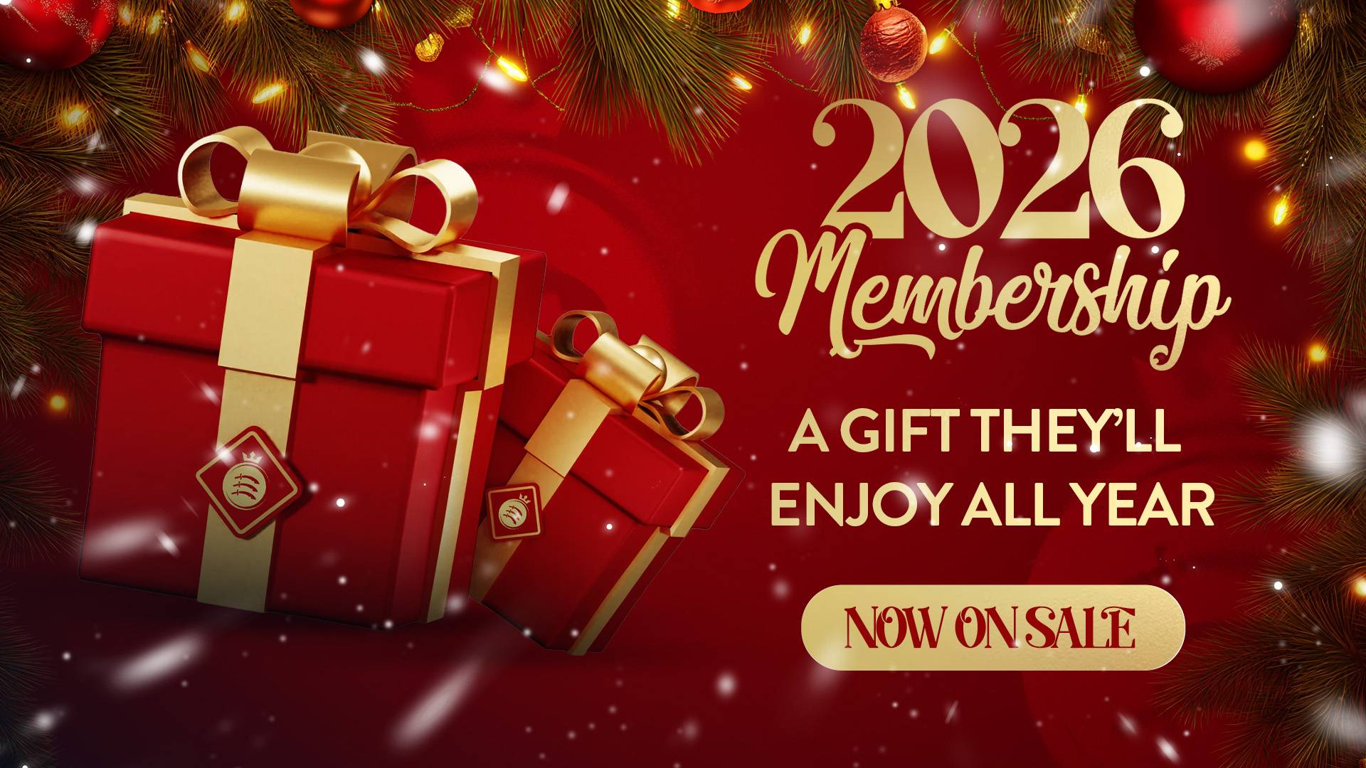 Homepage Popup Image