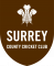Surrey U16