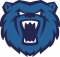 Warwickshire Bears Women
