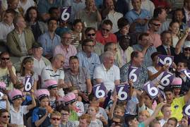 Cricket attracts record crowds in 2015