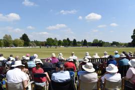 DON'T MISS THE SECOND XI TROPHY SEMI-FINAL AT RADLETT THIS FRIDAY