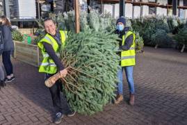 CHRISTMAS TREE SELLING AT SUNSHINE GARDEN CENTRE