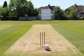 VACANCY | KENTON CRICKET CLUB